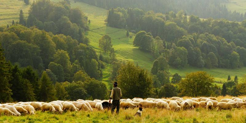 智能门锁常见问题：电池续航低怎么办